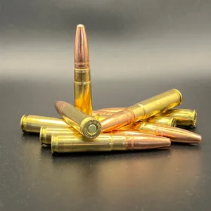 300BLK Subsonic