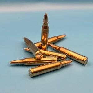 .223 Ammunition